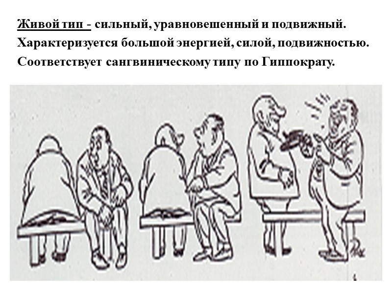 Живой тип - сильный, уравновешенный и подвижный. Характеризуется большой энергией, силой, подвижностью. Соответствует сангвиническому